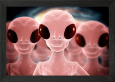 Listing image for Extraterrestrial humanoid Framed Wall Art Poster Canvas Print Picture